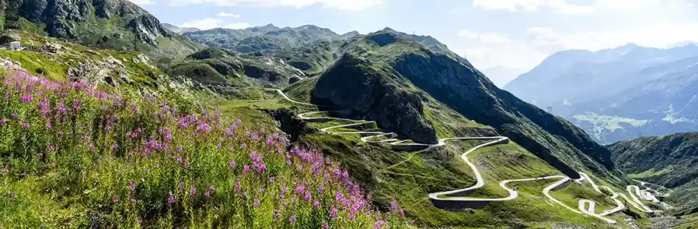 Swiss Alps' Path